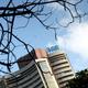 Markets gave up early gains to trade lower; Sensex quotes 309 points lower