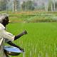 Economic survey sees robust growth in agriculture, allied sectors